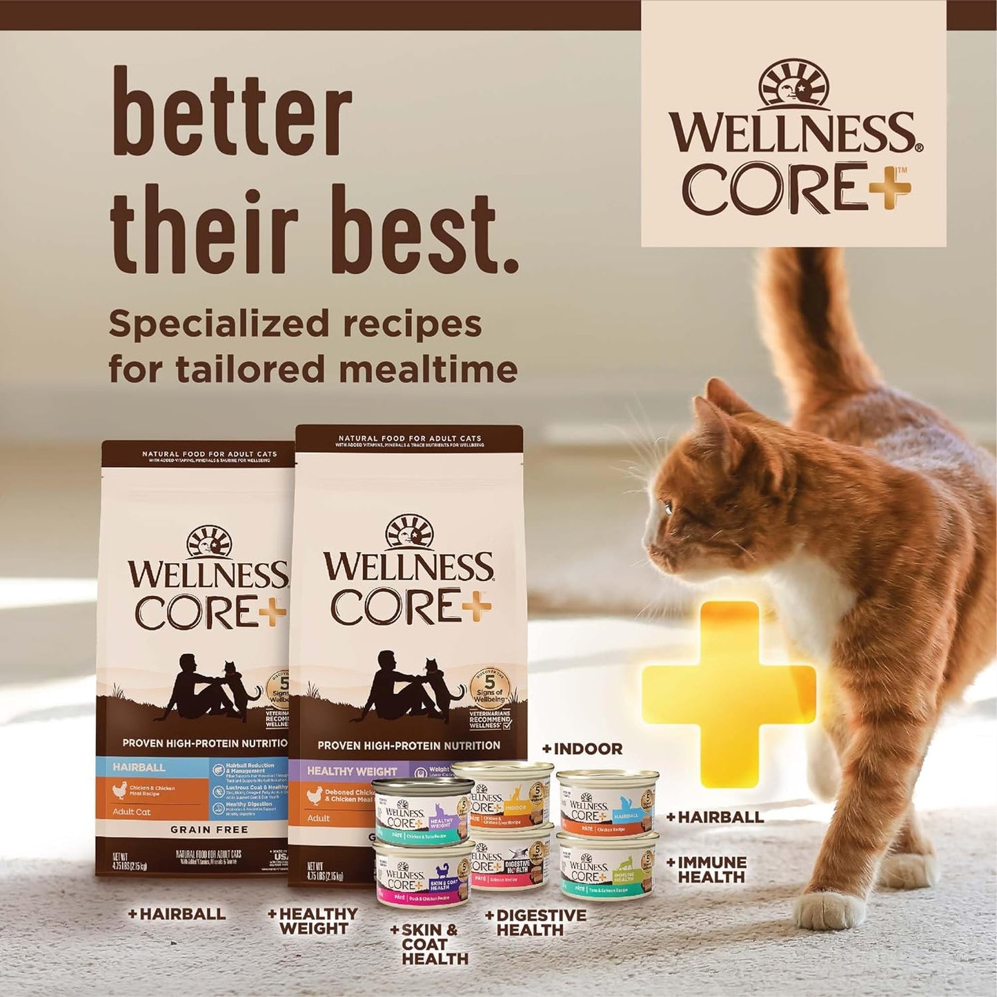 CORE+ Adult Dry Cat Food for Indoor Cats, Grain-Free, Natural, Chicken, Turkey & Chicken Meal (5 Pound Bag)
