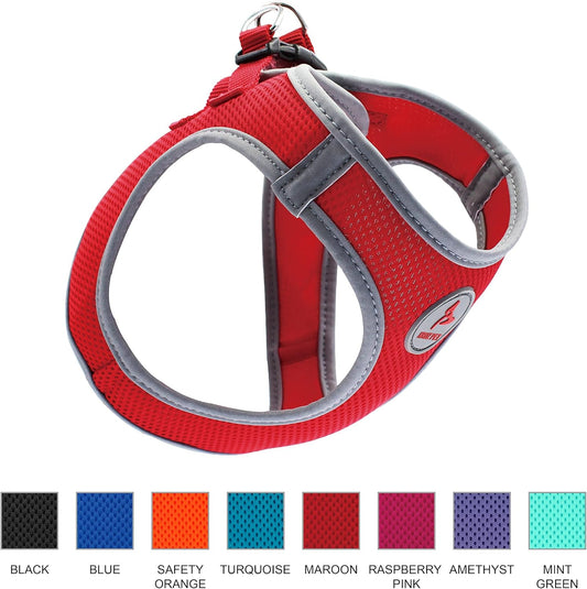Kruz Dog Harness (Chest 14.5"-15.5", Weight 6–10 Lbs) Athletica Adjustable Heavy Duty No Choke Puppy Vest for Small Dogs Lightweight Air Mesh, Reflective, Puppy Essentials – Blue, Small