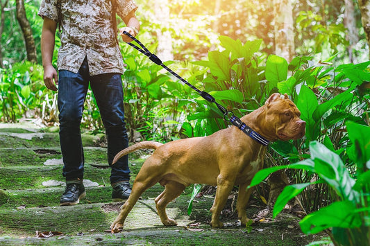 KRUZ Dog Leash (Width - 1/2”, Length - 20 IN) Reflective Rope Lead with Soft Silicone Grip, Click & Lock Snap Lightweight Leash for Dogs, Durable & Tangle-Free for Walking, Running & Training - Orange