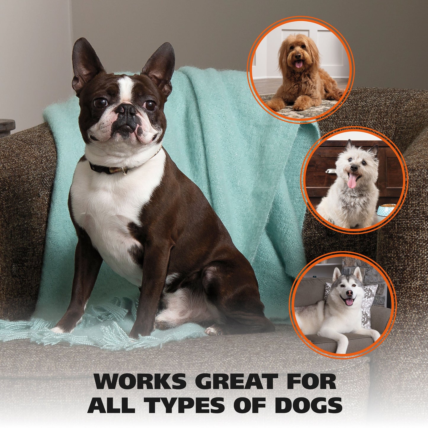 Pet Nail Clipper for Cutting Dog or Cat Claws