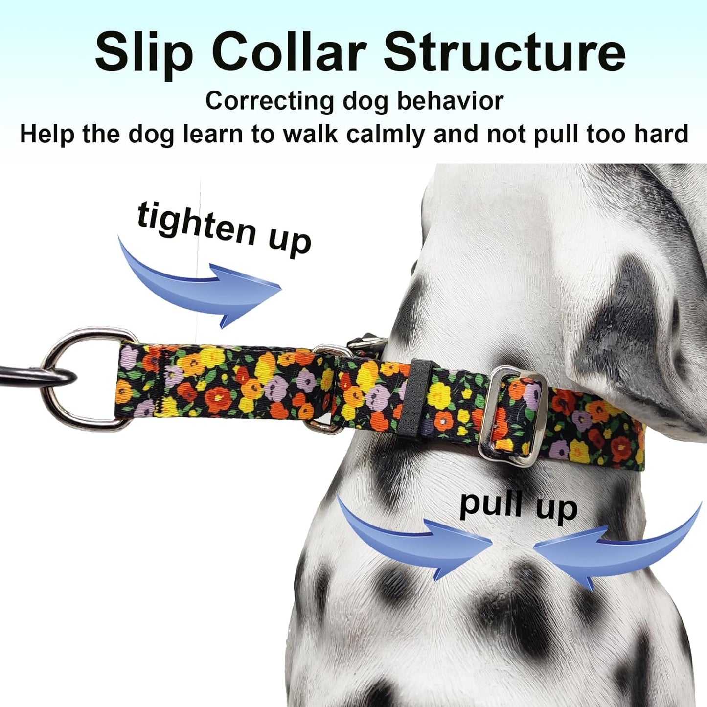 Martingale Collar for Dogs with Buckle Adjustable Nylon Limited Slip Training Dog Collars (Orange Floral, Medium)
