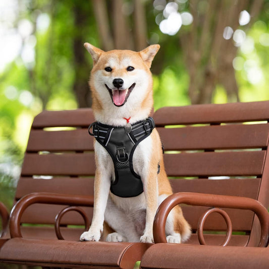 No Pull Dog Harness with 4 Buckles for Puppy Small Dogs (Black,S)