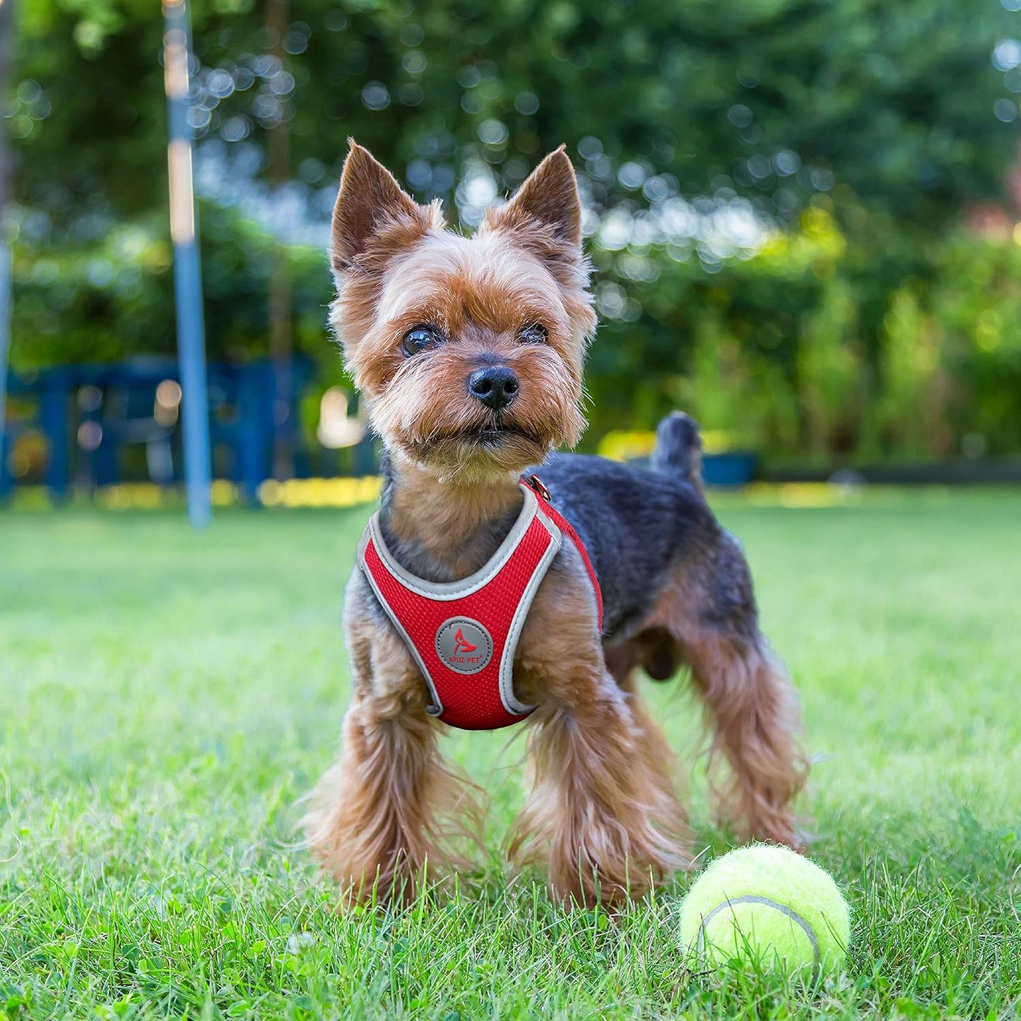 Kruz Dog Harness (Chest 14.5"-15.5", Weight 6–10 Lbs) Athletica Adjustable Heavy Duty No Choke Puppy Vest for Small Dogs Lightweight Air Mesh, Reflective, Puppy Essentials – Blue, Small