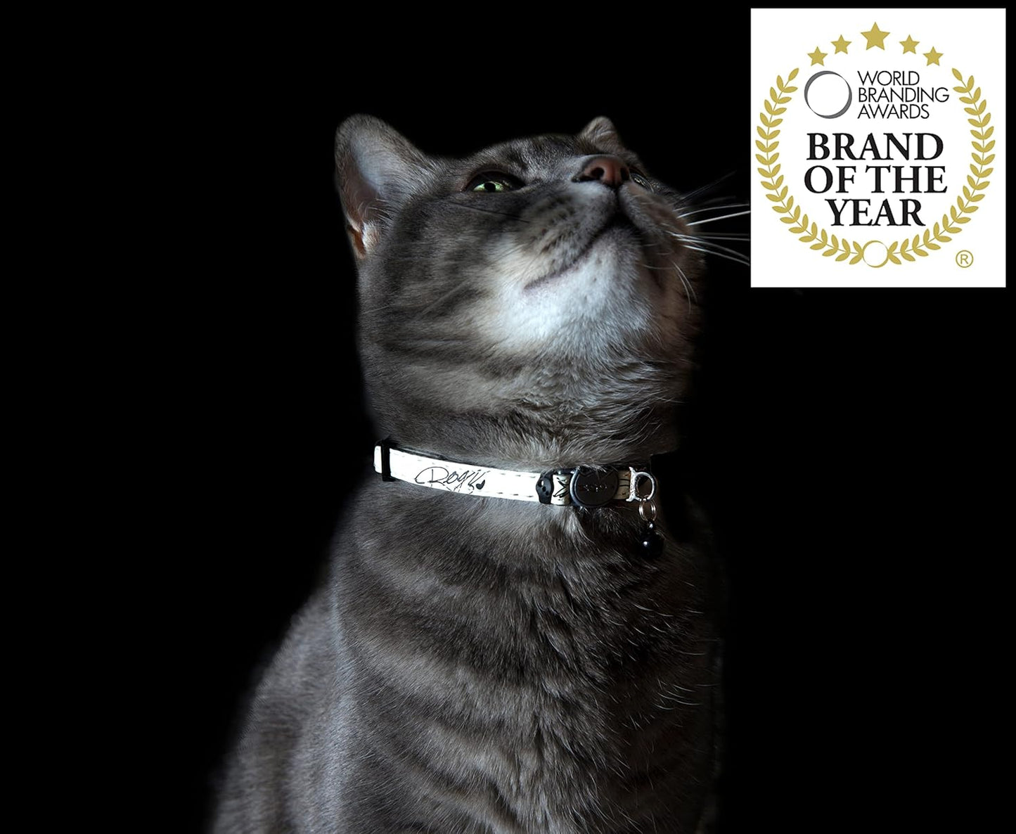 Glow in the Dark Reflective Cat Collar with Breakaway Clip and Removable Bell, Fully Adjustable to Fit Most Breeds, Blue Floral Cat Design
