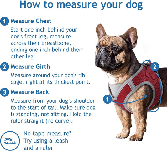 Kruz Dog Harness (Chest 13.5"-14", Weight 4–6 Lbs) Athletica Adjustable Heavy Duty No Choke Puppy Vest for Small Dogs Lightweight Air Mesh, Reflective, Puppy Essentials – Gray, X-Small