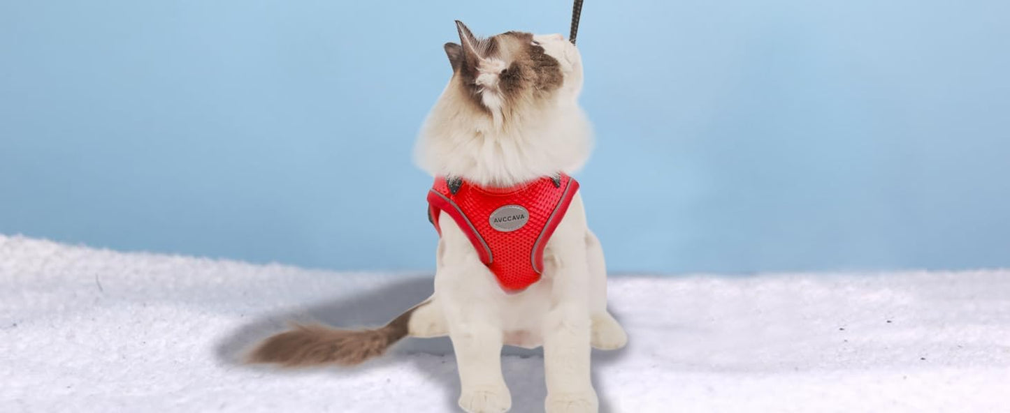 Cat Harness and Leash for Walking, Kitten Escape Proof Harnesses, Adjustable Reflective Puppy Harness with Leashes Set, Easy Adjustable Soft Net Breathable Pet Safety Vest