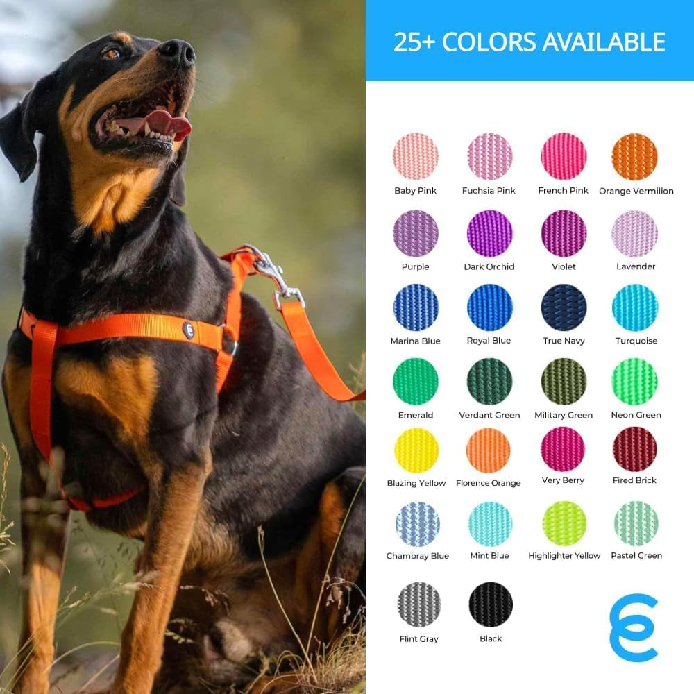 Essentials Mint Blue Dog Leash for Small -5' * 5/8" Dogs | Heavy Duty Nylon Lead | Lightweight Puppy & Cat Leash for Walking & Training