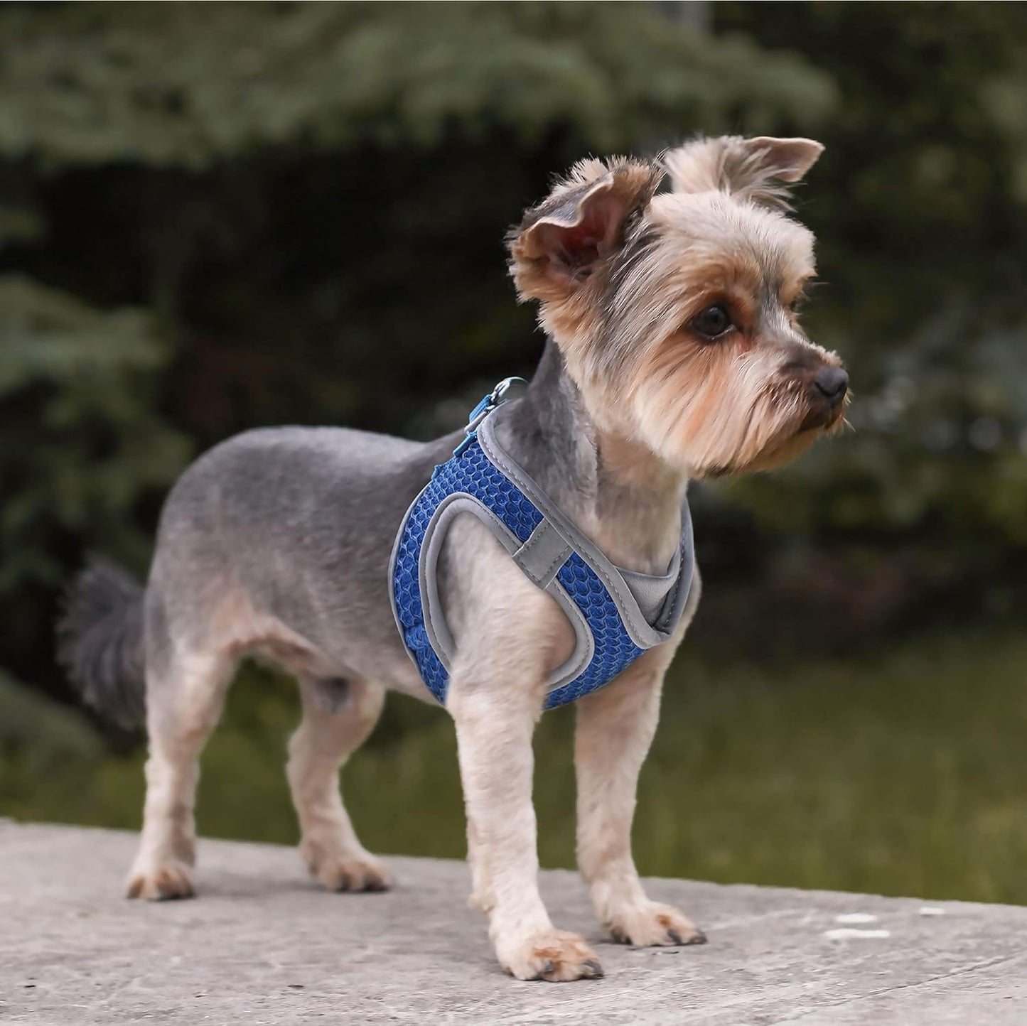 Kruz Dog Harness (Chest 20.5"-22", Weight 20–25 Lbs) Athletica Adjustable Heavy Duty No Choke Puppy Vest for Large Dogs Lightweight Air Mesh, Reflective, Puppy Essentials – Red, X-Large