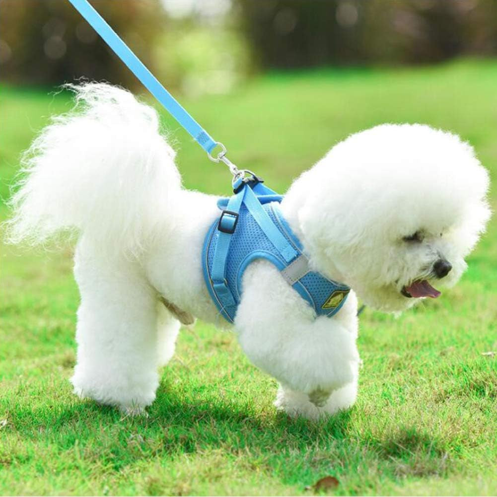 Dog Harness and Leash Set, No Pull Breathable Soft Mesh Puppy Vest Harness Reflective Adjustable Pet Harnesses for Small Medium Dogs and Cats - Outdoor Easy Control for Walking