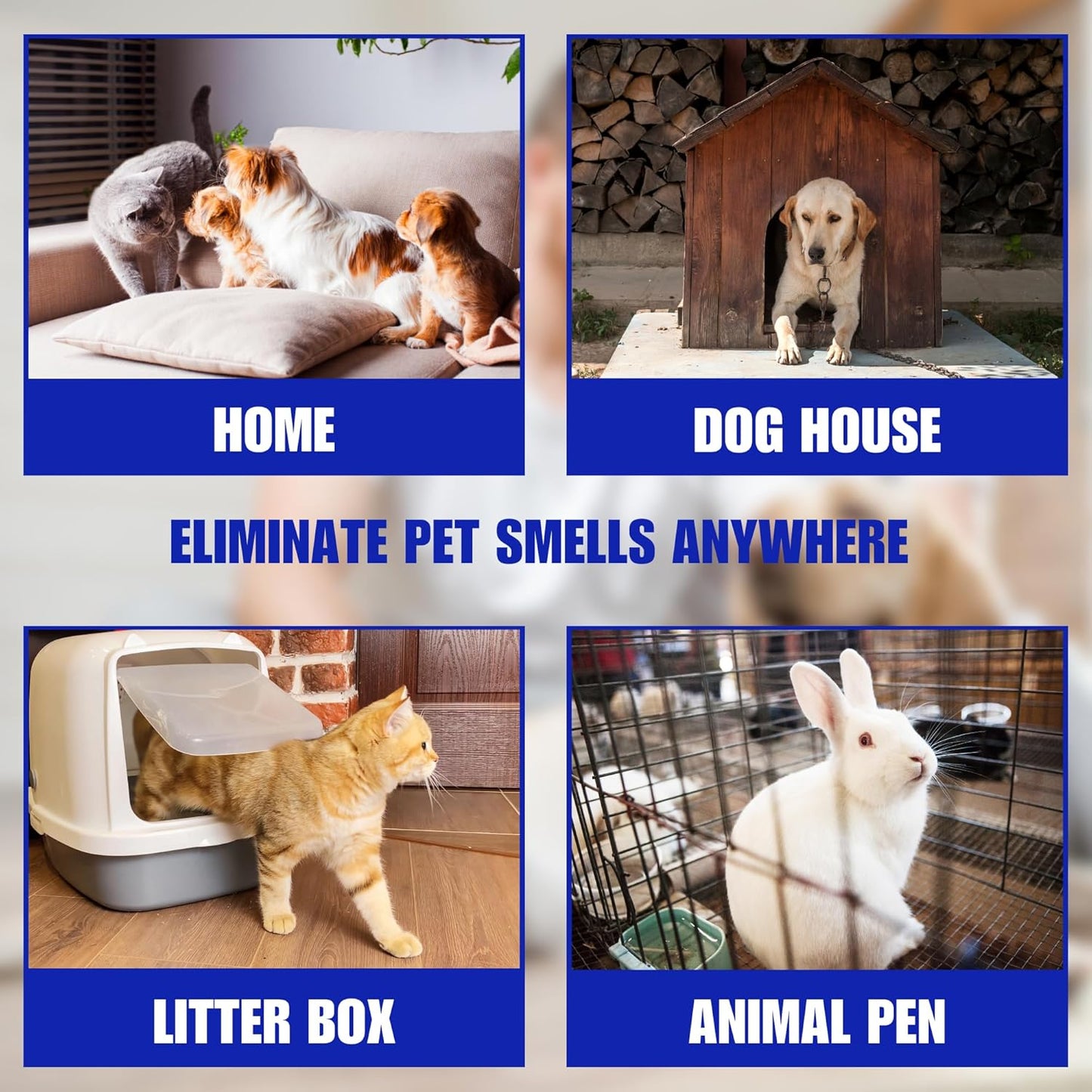 Natural Pet Odor Eliminator Deodorizer: 2 Lb. Unscented Granules Rids Strong Pet Waste Stench. Perfect for Pet or Small Animal Habitats. Mix with Bedding.
