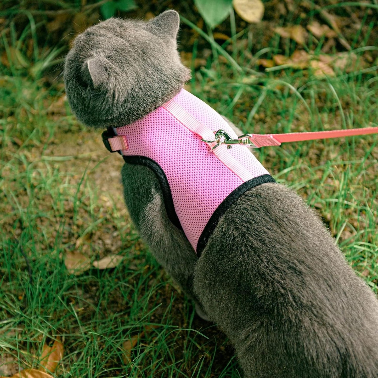 Soft Mesh Cat Vest Harness and Leash Set Puppy Padded Pet Harnesses Escape Proof for Cats Small Dogs (Small, Pink)