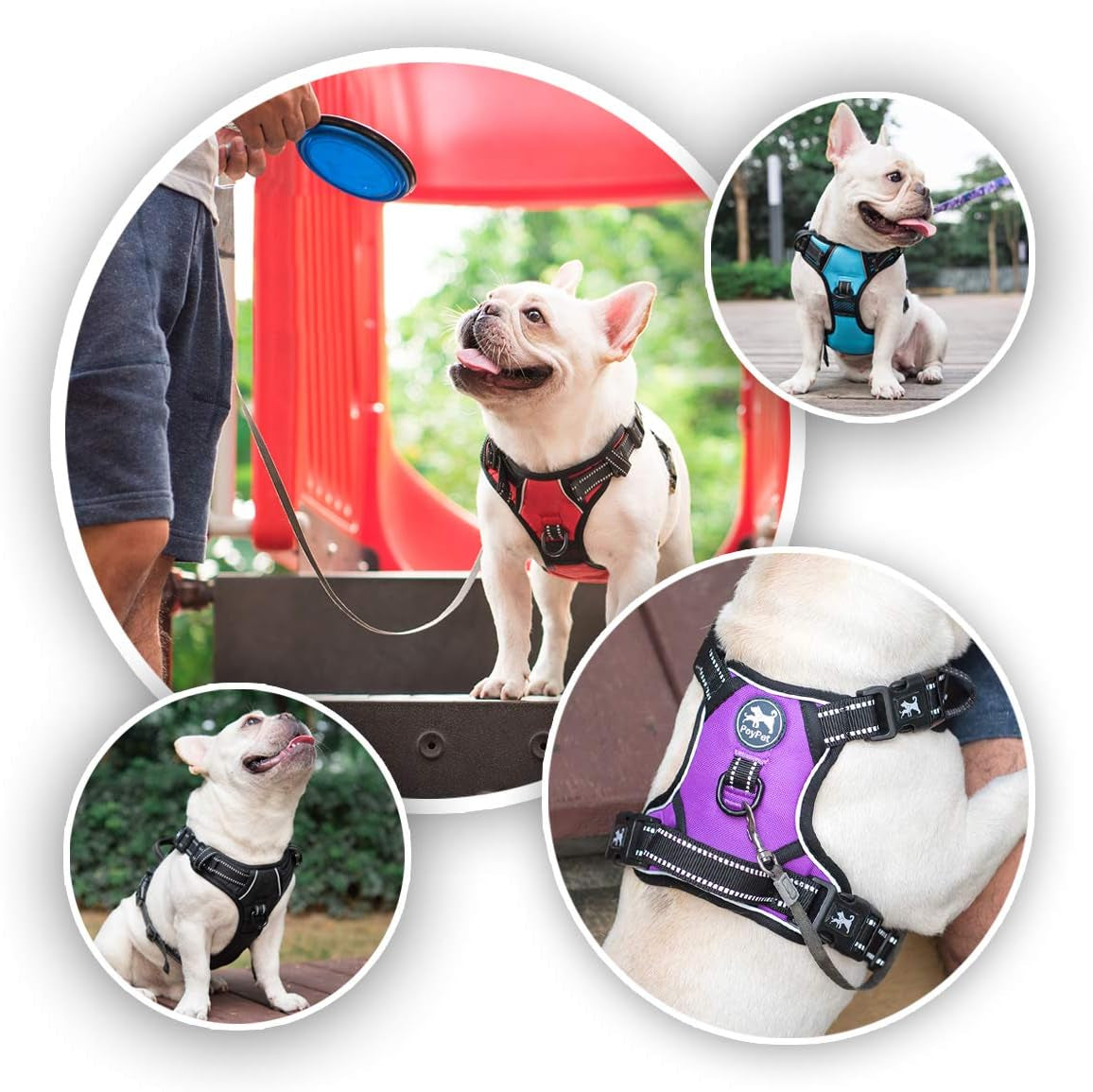 No Pull Dog Harness with 4 Buckles for Puppy Small Dogs (Black,S)