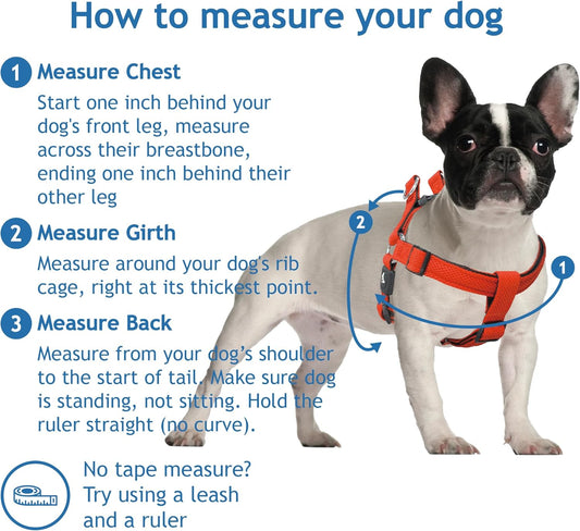 Kruz No Pull Dog Harness (Chest 30”-44”, Weight 66-176 Lbs) Heavy-Duty Pet Harness for Large Breeds, Ultra-Comfort Fit, Lifetime Durability, Adjustable Dog Harness No Pull Design (Black, X-Large)