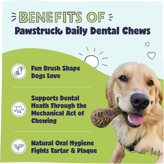 Natural Dental Chews for Medium Large Dogs & Puppies - Vet Recommended Brush Stick Treats Made in USA Breath Freshener to Improve Oral Hygiene & Clean Teeth - 30 Count - Packaging May Vary