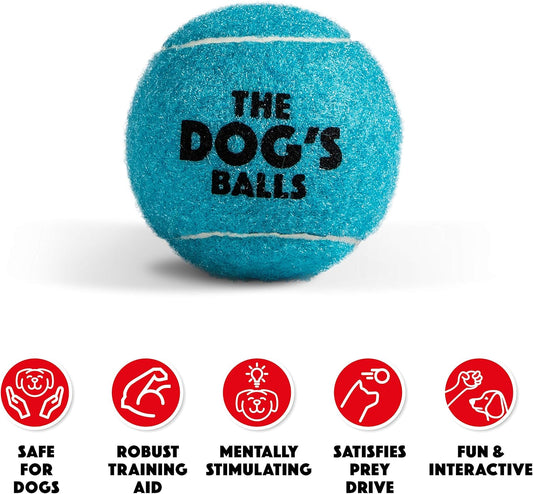 , Dog Tennis Ball, Blue 12-Pack, Strong Toy for Agility Training, Puppy Training, Play, Exercise & Fetch, 2.5 Inch Diameter