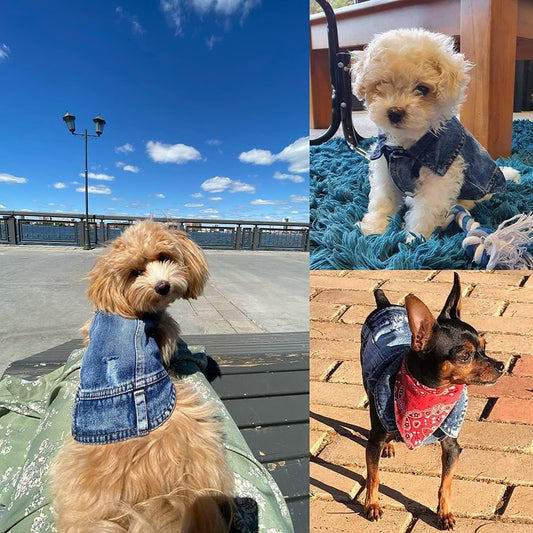 Jean Jacket for Dogs, Blue Denim Lapel Vest Coat Costume, T-Shirt Clothes, Cool and Funny Apparel Outfits, Machine Washable for Small Medium Dogs Cats (XL)