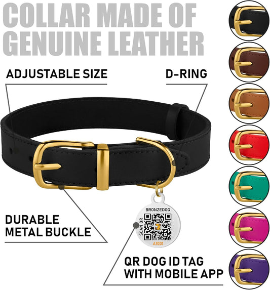 Leather Dog Collar with Metal Buckle Durable Basic Pet Collars for Small Medium Large Dogs (13-16 Inch (Pack of 1), Black & Gold Buckle)