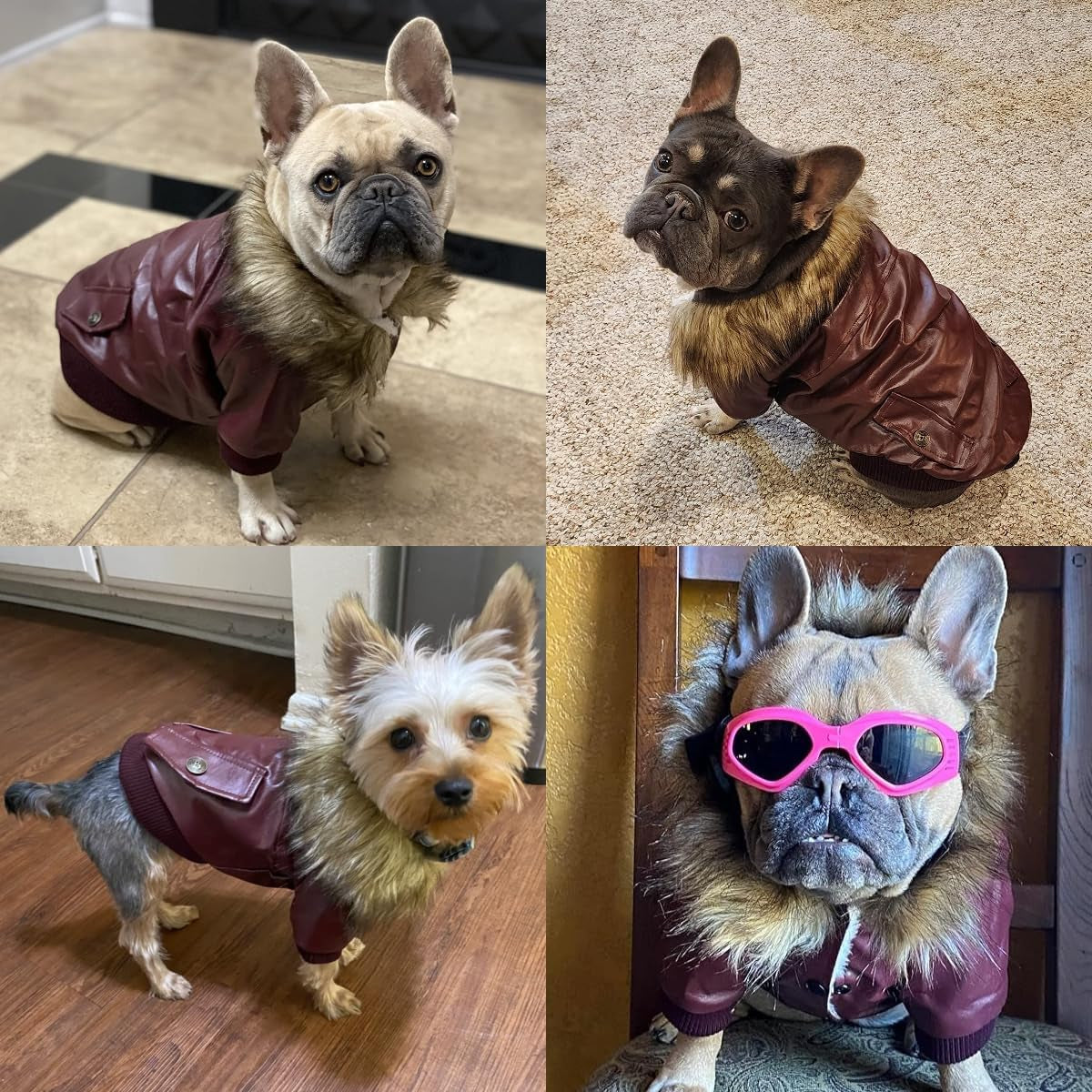 Dog Leather Jacket for Small Dogs, Waterproof Dog Winter Jacket Puppy Coat with Fleece Lined, Ultra Warm Fur Collar Doggie Coat, Black X-Large