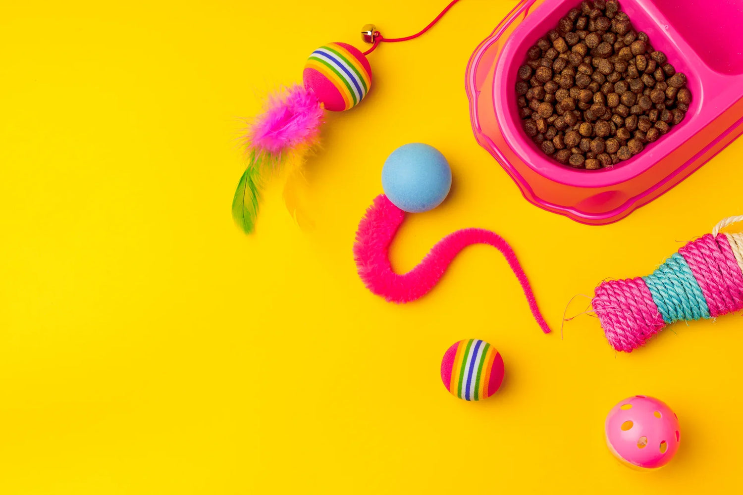 Dry Cat Food & Kibble