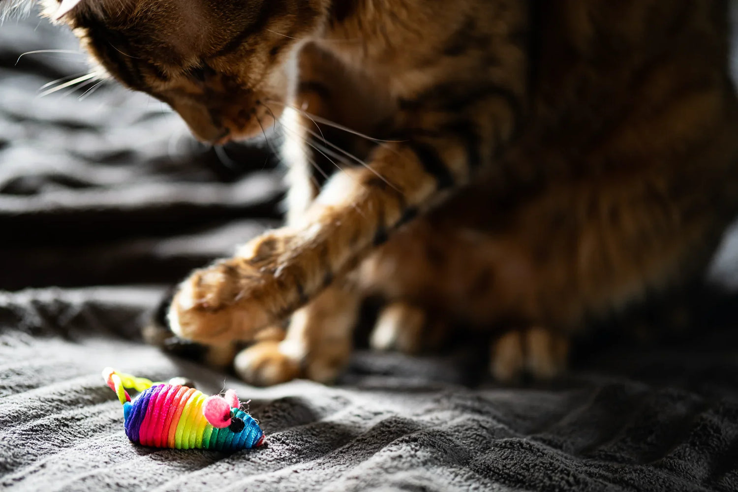 Cat Blankets & Soft Throws