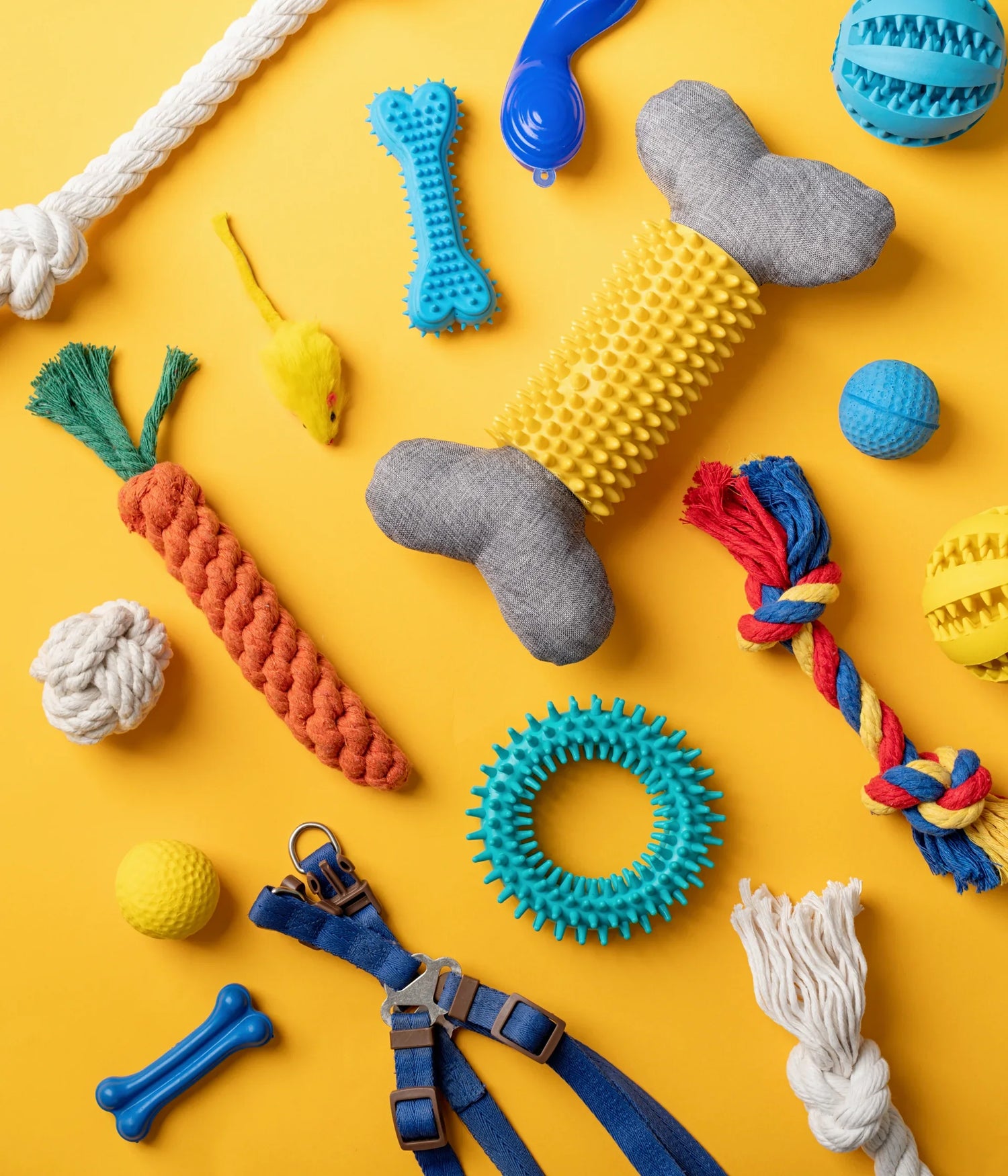 Dog Toys & Enrichment