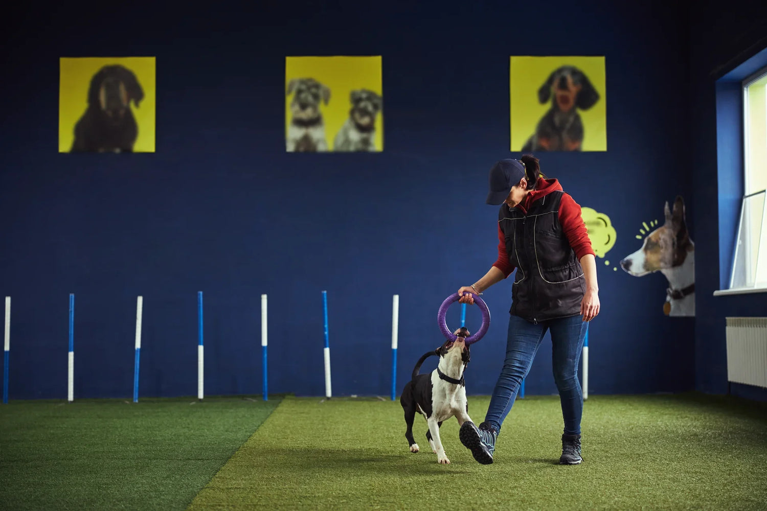 Dog Training Treat Bags & Pouches