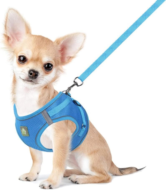 Dog Harness and Leash Set, No Pull Breathable Soft Mesh Puppy Vest Harness Reflective Adjustable Pet Harnesses for Small Medium Dogs and Cats - Outdoor Easy Control for Walking