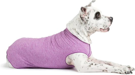Goldpaw Dog Sun Shirt with UV Protection - Lightweight, Cooling Sun Protection Clothing for Dogs - Reduce Heat Absorption - Pet Clothes Made in the USA - Machine Washable - Violet - Size 20