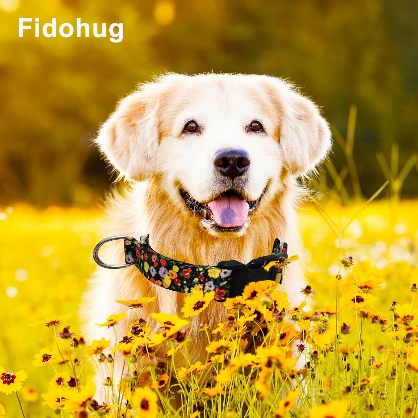 Martingale Collar for Dogs with Buckle Adjustable Nylon Limited Slip Training Dog Collars (Orange Floral, Medium)