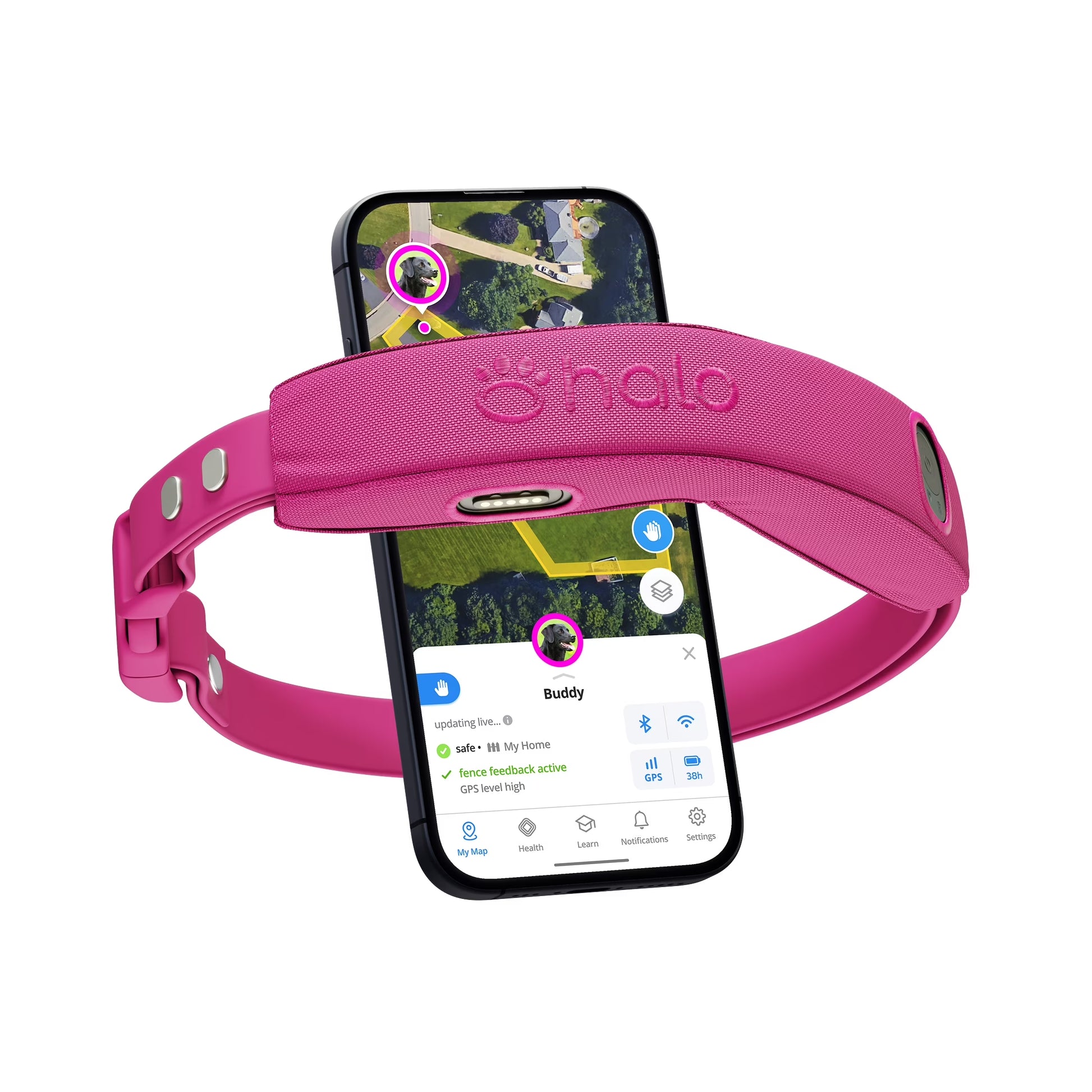 Halo Collar 4, All New GPS Wireless Dog Fence with Real-Time Tracking (Orchid)