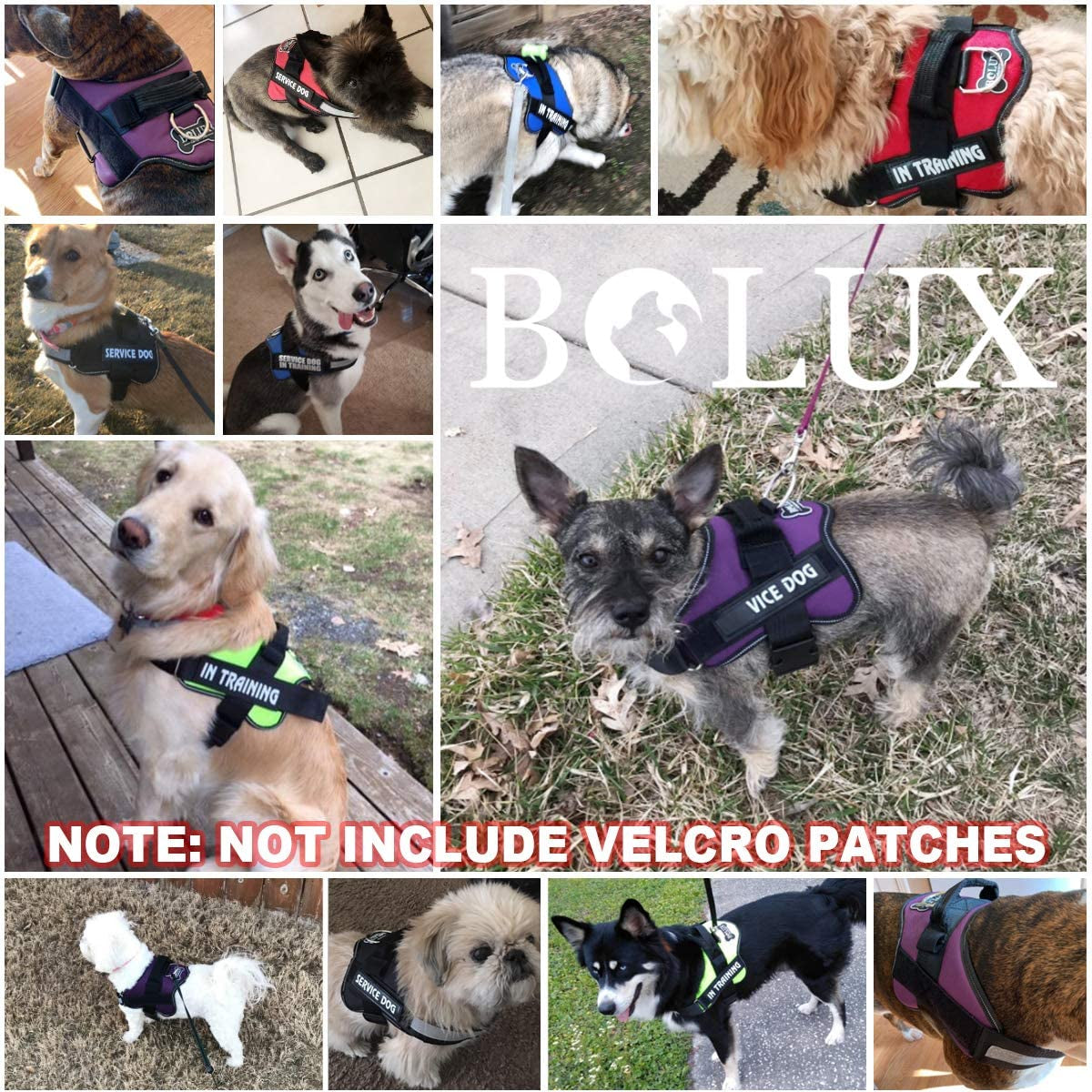 Dog Harness, No-Pull Reflective Dog Vest, Breathable Adjustable Pet Harness with Handle for Outdoor Walking - No More Pulling, Tugging or Choking (Rose Red, S)