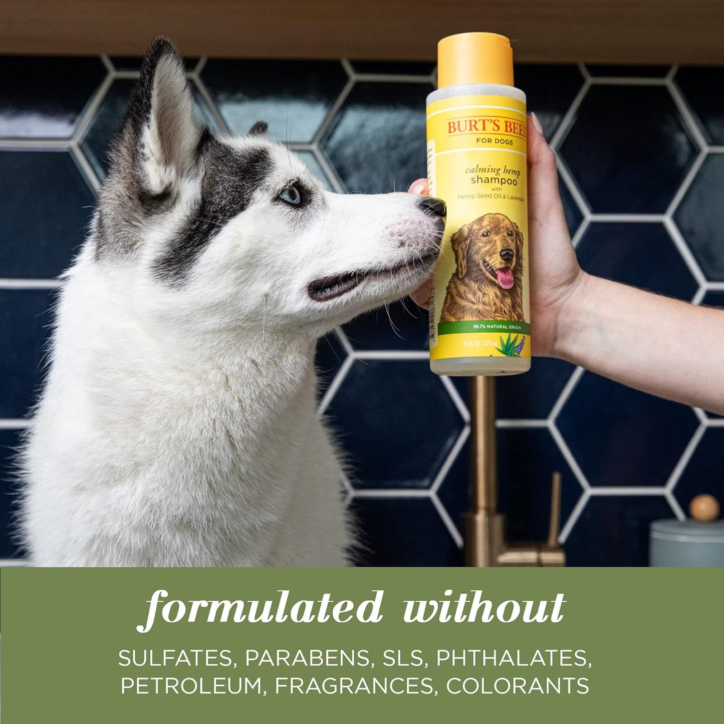 Calming Dog Shampoo with Hemp Seed Oil and Lavender, 95% Natural Origin Formulas, Soothing Lavender Shampoo for Dogs - Gentle Dog Wash 16 Oz
