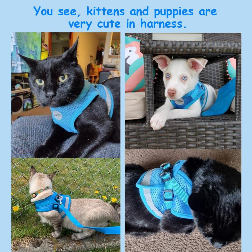 Cat Harnesses and Puppy Harness with Leashes Set, Escape Proof Cat Harness, Adjustable Reflective Soft Mesh Vest Fit Puppy Kitten Rabbit Ferrets'S Outdoor Harness