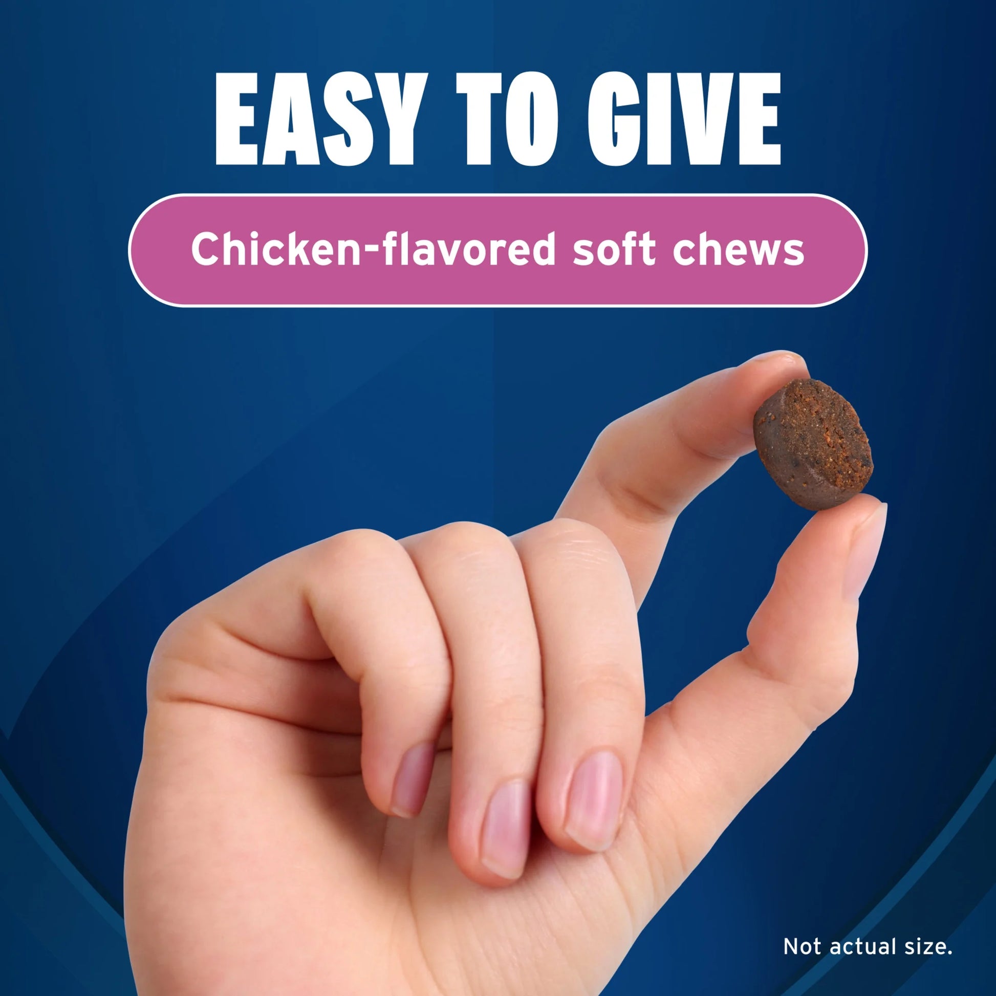 Fast-Acting Calming Chews for Dogs, Vet-Formulated Tranquilify, Chicken, 60 Soft Chews