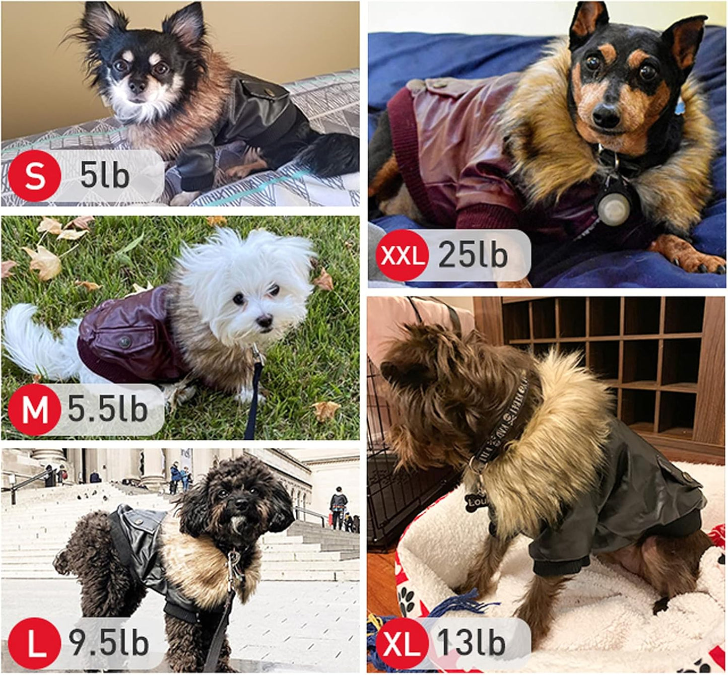 Dog Leather Jacket for Small Dogs, Waterproof Dog Winter Jacket Puppy Coat with Fleece Lined, Ultra Warm Fur Collar Doggie Coat, Black X-Large