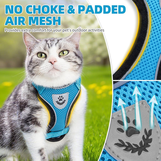 Cat Harness and Leash Set Escape Proof Reflective Cat Walking Harness Adjustable Soft Breathable Mesh Vest for Small Pets, Blue, M