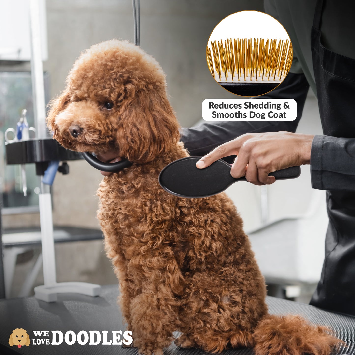 Pin Brush for Dogs, Pet Grooming Detangler Pin Dog Brush, Dog Brush for Shedding & Loose Fur, Gold Pins Long Haired Pets