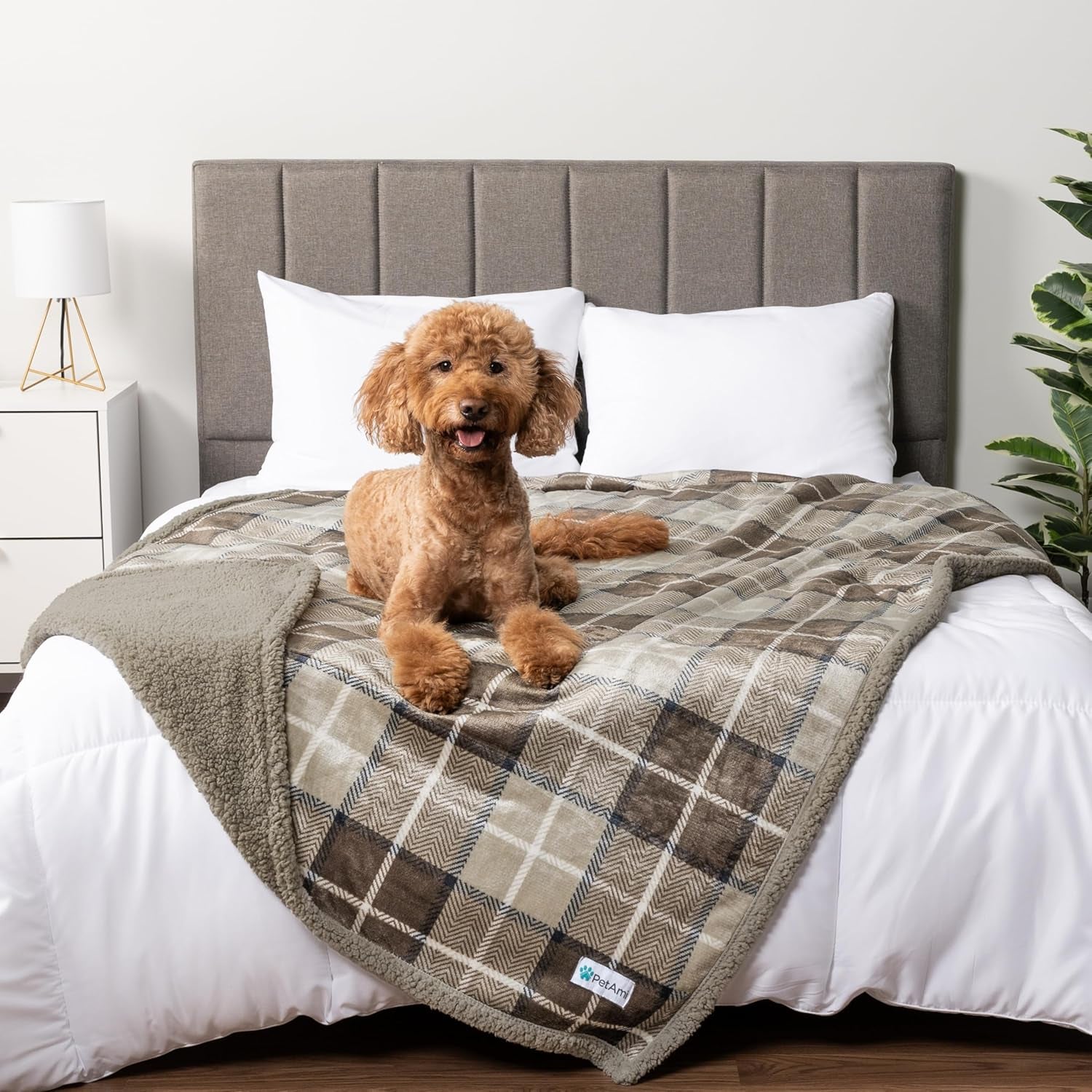 Waterproof Dog Blanket for Medium Large XL Dog Puppy Cat Throw for Couch Cover Leakproof Protection, Sherpa Fleece, Reversible Soft Washable 80X60 Plaid Taupe