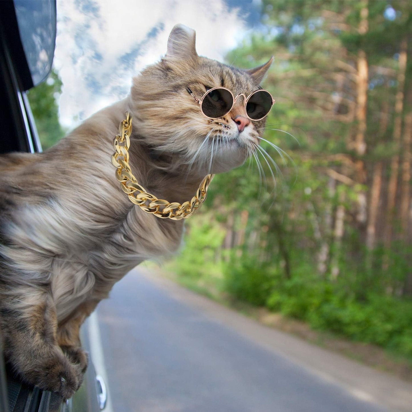 7 Pcs Dog Sunglasses Cats Sunglasses with 2 Gold Chain Retro round Metal Glasses Funny Cute Cosplay Costume for Small Pet(Vivid Colors,Lovely Style)