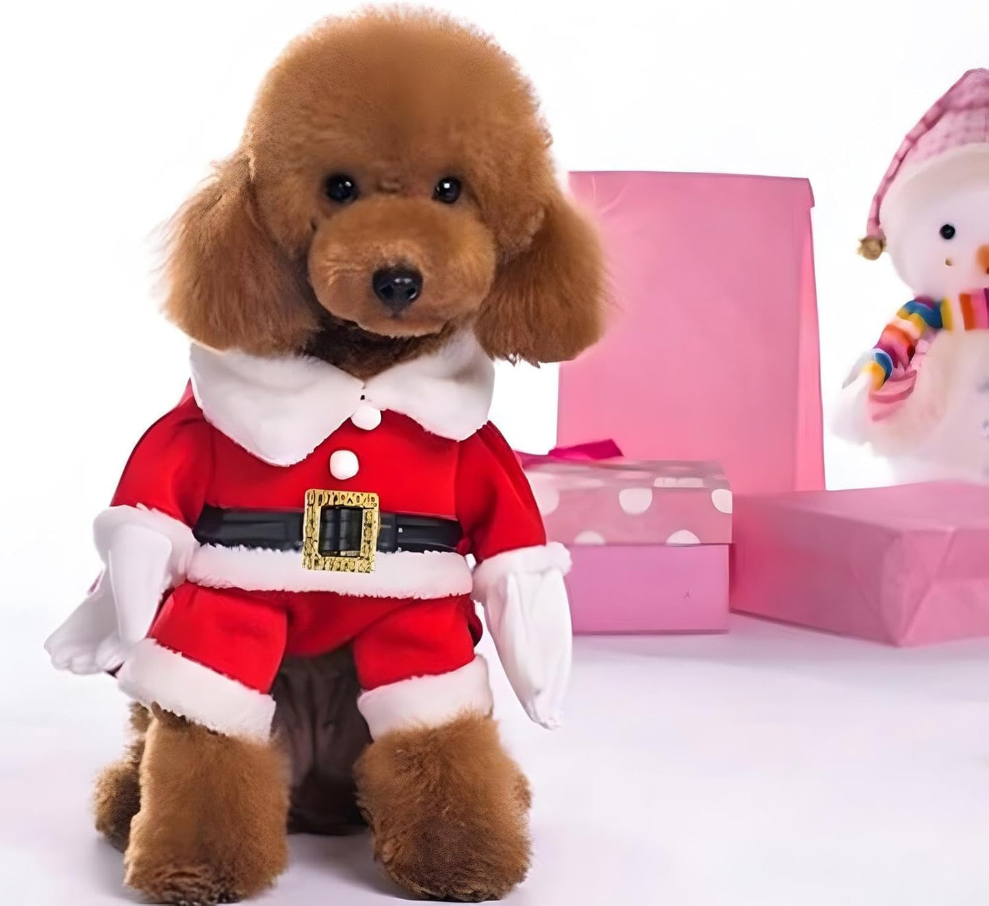 Pet Christmas Costumes Dog Suit with Cap Santa Claus Suit Dog Hoodies Cat Xmas Costumes (Red, M)