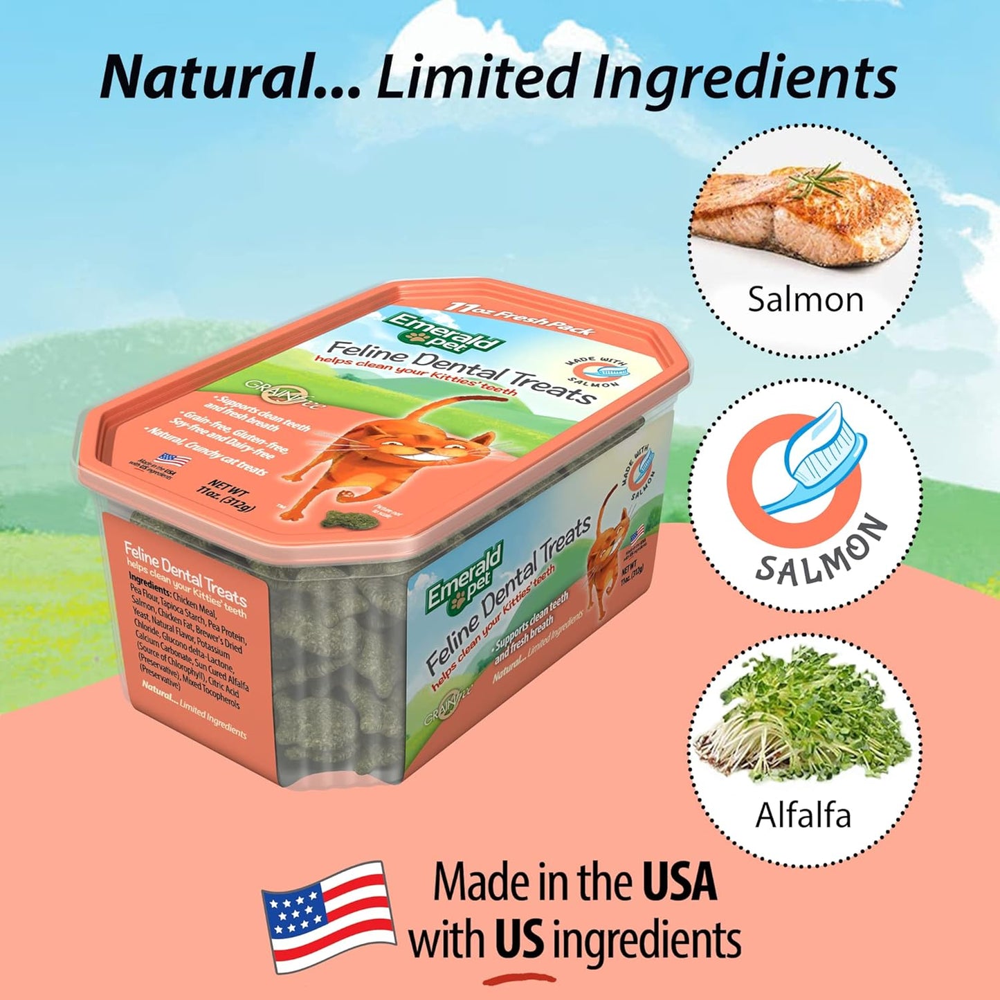 Cat Dental Treat Tub Salmon