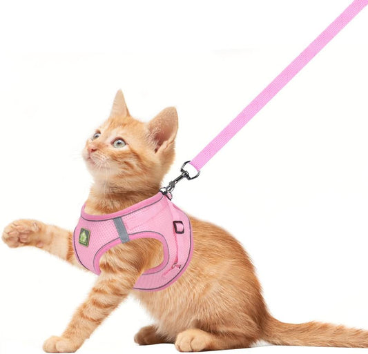 Dog Harness and Leash Set, No Pull Breathable Soft Mesh Puppy Vest Harness Reflective Adjustable Pet Harnesses for Small Medium Dogs and Cats - Outdoor Easy Control for Walking
