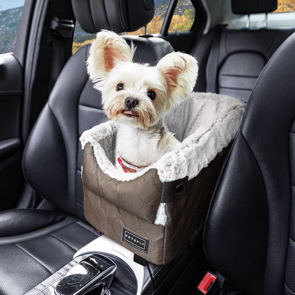 Center Console Dog Car Seat with Safe Protection Hooks, Pet Car Seat with Upgraded Safety Tethers, Washable Cushion, Console Dog Car Seats for Small Dogs (Coffee)