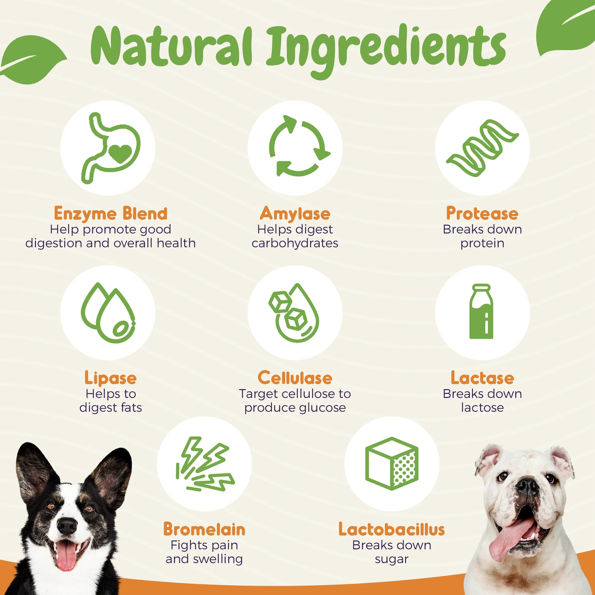 Probiotic Chews, Tasty Soft Chew Probiotics for Dogs, Chicken Flavor, 60 Count