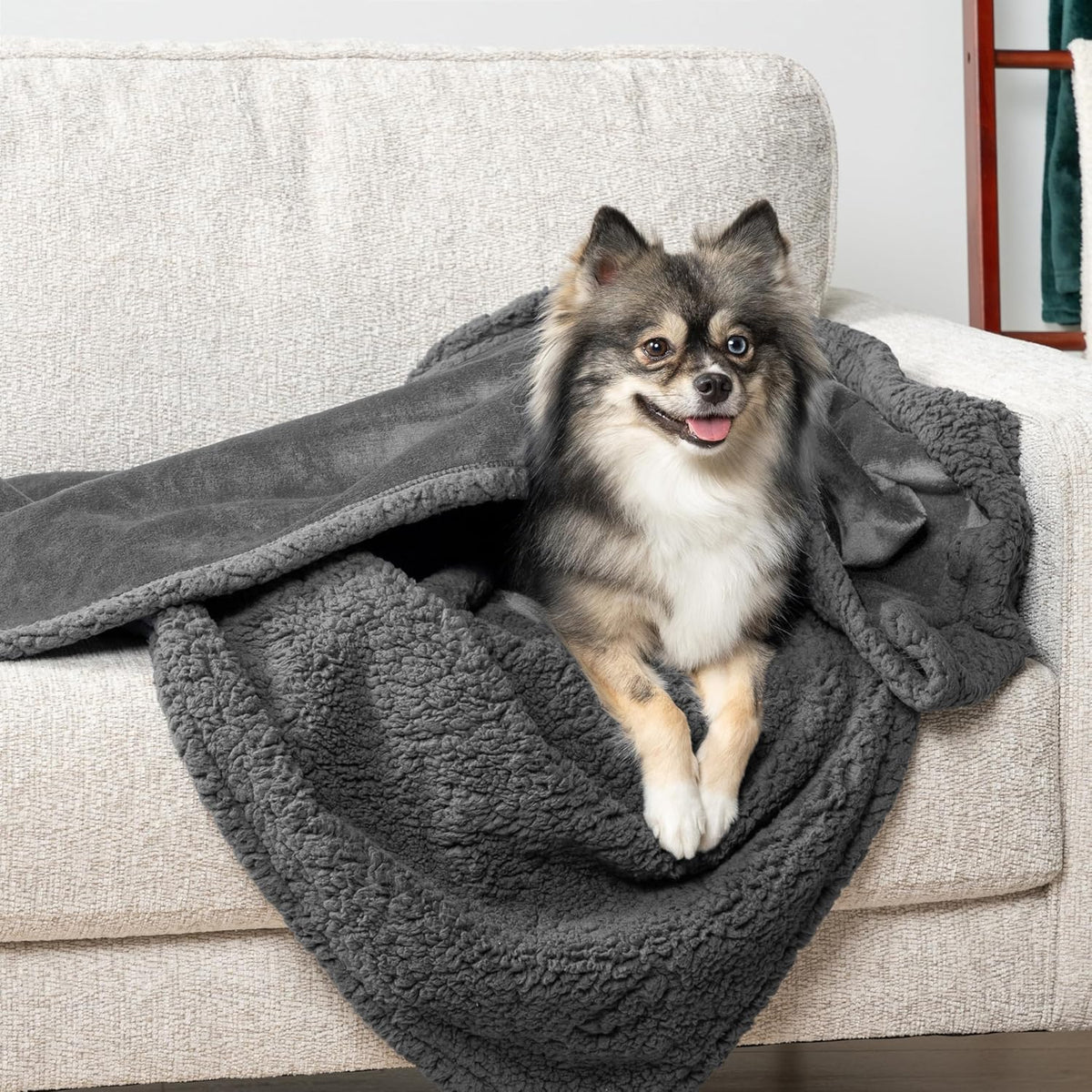 Waterproof Dog Blanket for Small Medium Dog Puppy Cat Throw for Couch Cover Leakproof Protection, Sherpa Fleece, Reversible Soft Washable 29X40 Gray Gray