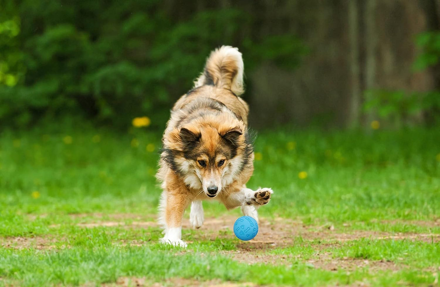 Rubber Dog Balls for Small and Medium Dogs - Tennis Ball Size - Virtually Indestructible (3 Pack - Cool)