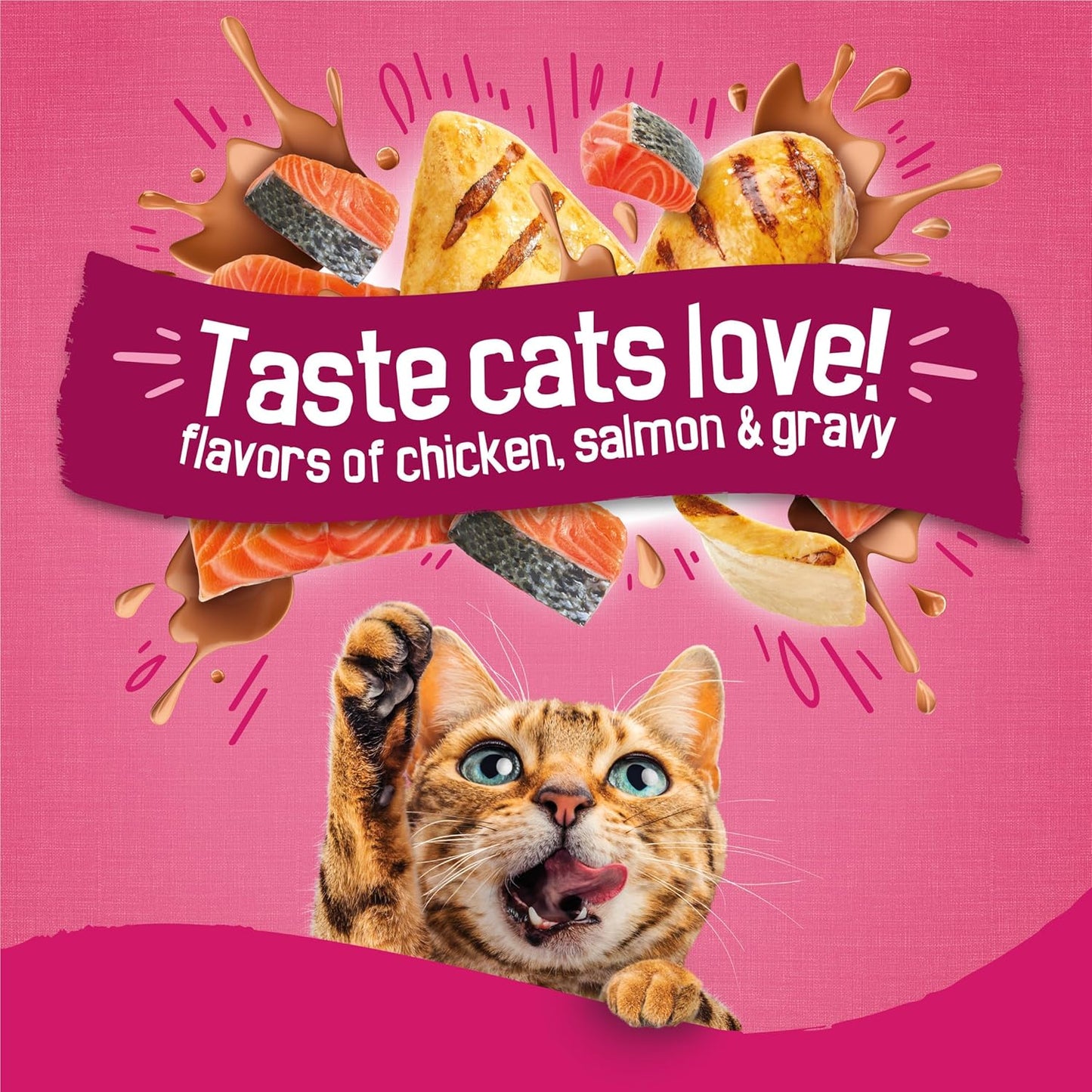 Purina  Gravy Swirlers with Flavors of Chicken, Salmon and Gravy Dry Cat Food - 3.15 Lb. Bag