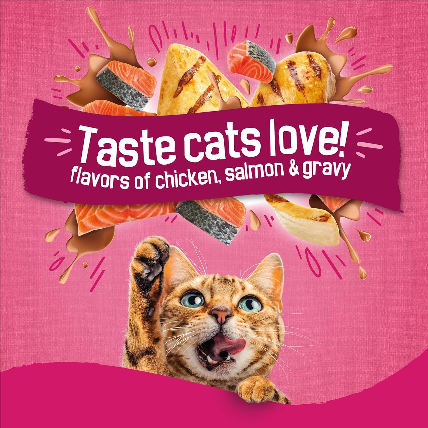 Purina  Gravy Swirlers with Flavors of Chicken, Salmon and Gravy Dry Cat Food - 3.15 Lb. Bag