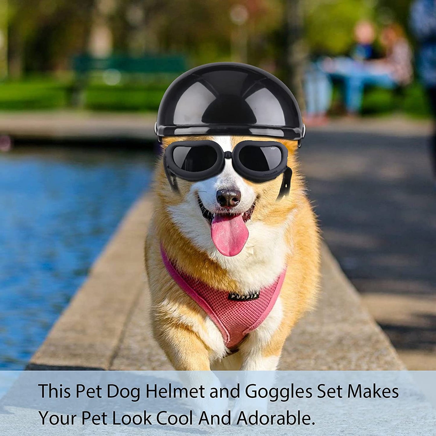 Dog Helmet and Goggles, UV Protection Doggy Sunglasses and 4 Inch Padded Puppy Motorcycle Helmet Adorable Dog Goggles with Adjustable Belt for Small Dogs Puppy Riding(Black,S)