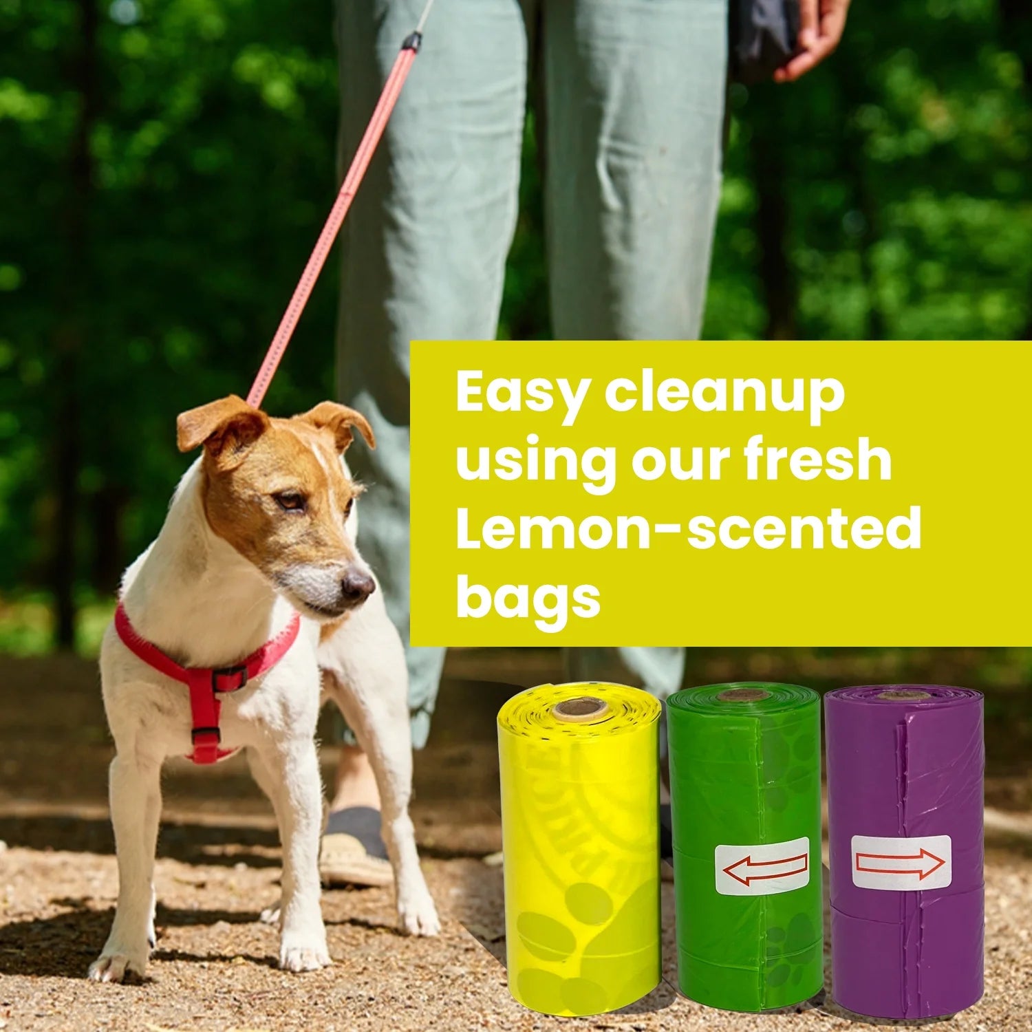 Biodegradable Dog Poop Bags – 240 Count (16 Rolls), Lemon Scented | Extra Thick Leak-Proof 13X9” Pet Waste Bags Eco-Friendly, Easy-Tear Dog Waste Bags